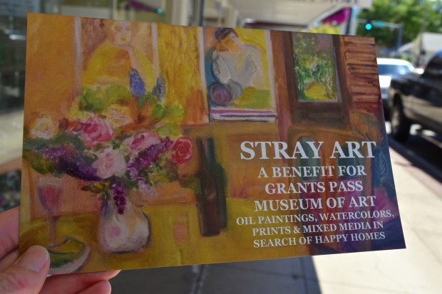 stray.art.grants.pass.jpg