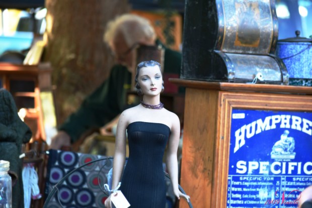 1-store-display-coburg-oregon