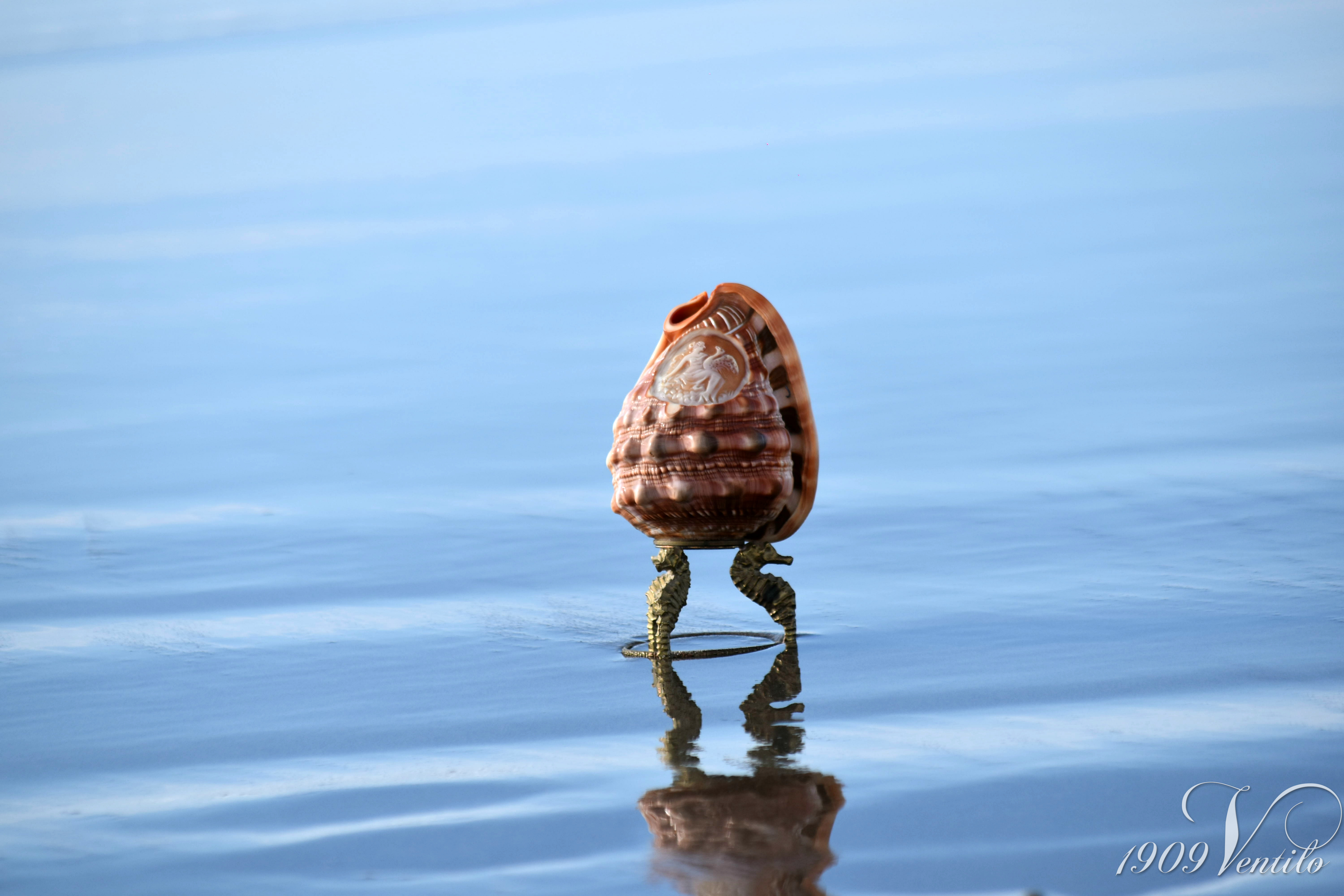 shell-beach-vintage-photo